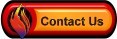Contact Us Contact your fire site